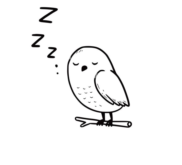 Sleeping Bird